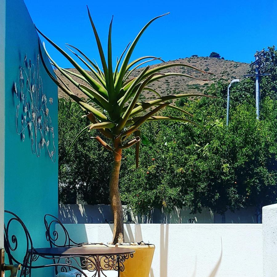 Avatara Bed & Breakfast كيب تاون المظهر الخارجي الصورة